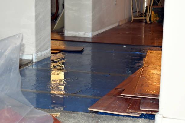 Professional Sewage Cleanup technician working in Sebec, ME